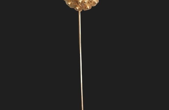 spillone
